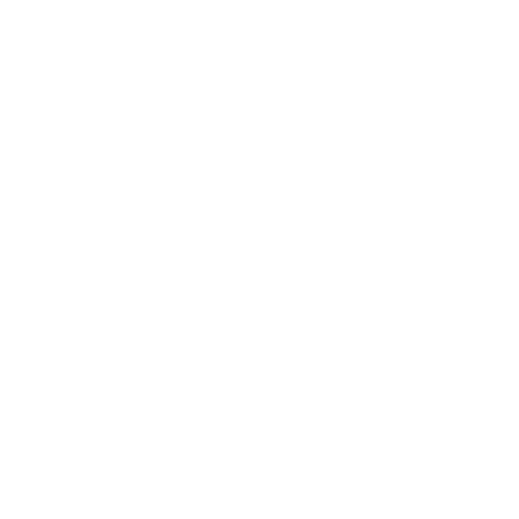 Santos White Logo